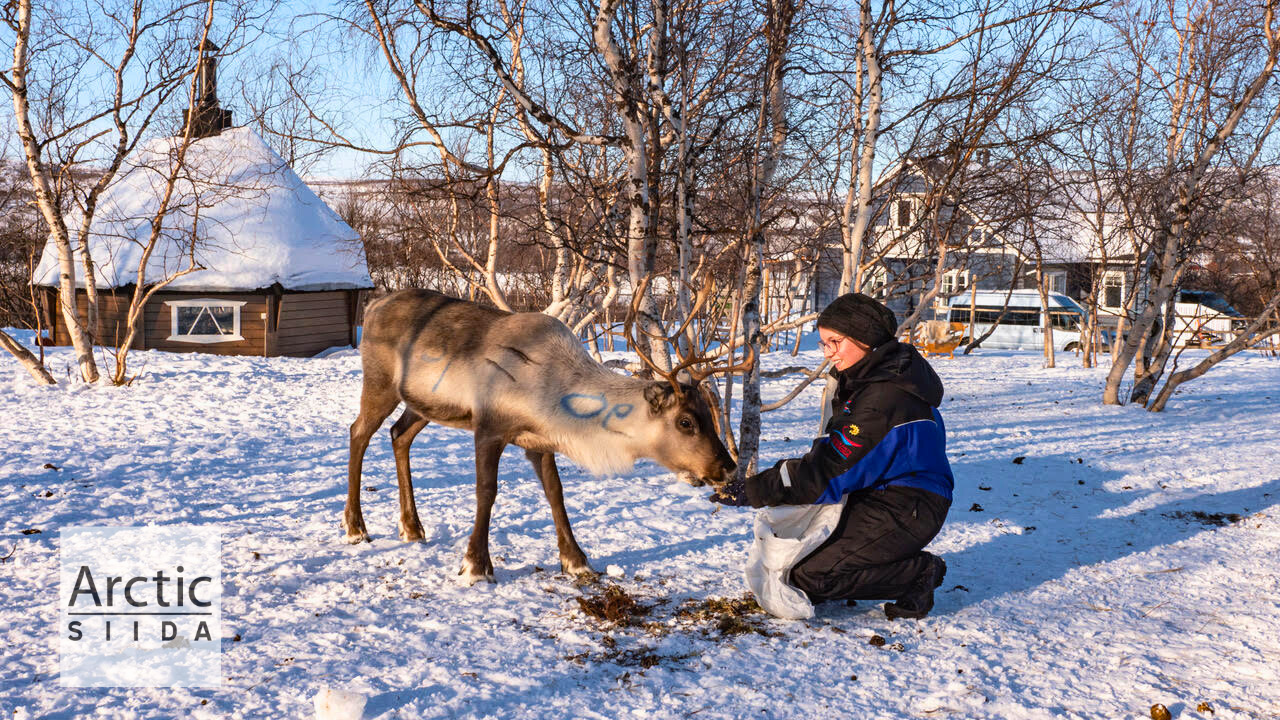 Visit a Sami Reindeer herder in Utsjoki